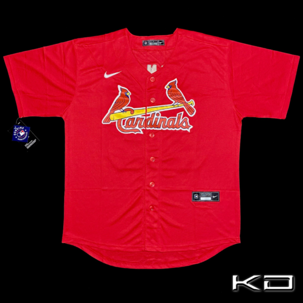 CHAQUETA SAINT LOUIS CARDINALS SPRING TRAINING UNIFORM #28 ARENADO